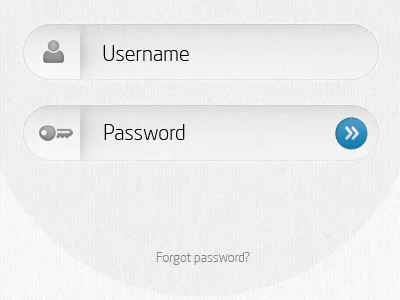 Login screen inputs login ui