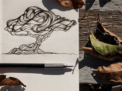 Tree drawing fall leaves sketch tree tree bark wood texture woods