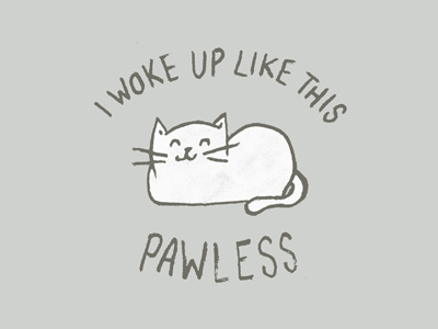 Pawless cat funny