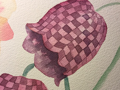 coolest bulb botanical bulb checkered flower fritillaria purple watercolor