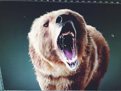 Fear the bear animals bear grizzly illustration photoshop wild