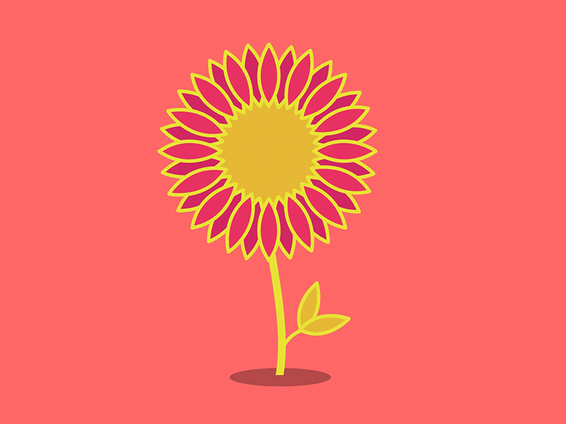 Bupa Great North Run Flower bupa daisy flower great north run happy nature plant run sunflower sunshine