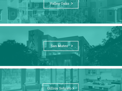 Bgs Web Case Study Rollover State arrow box button case studies green photography web