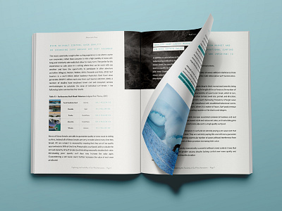 WL2 brochure magazine mockup research surfing