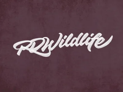 RD Wildlife brush brushpen calligraphy custom fabercastell joluvian lettering tombow type wild