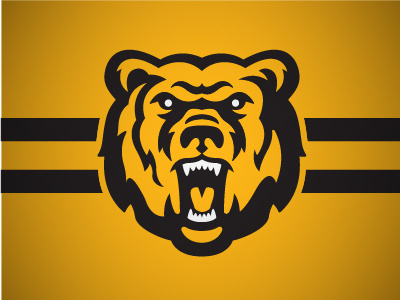 Bear bear grizzly hockey sports