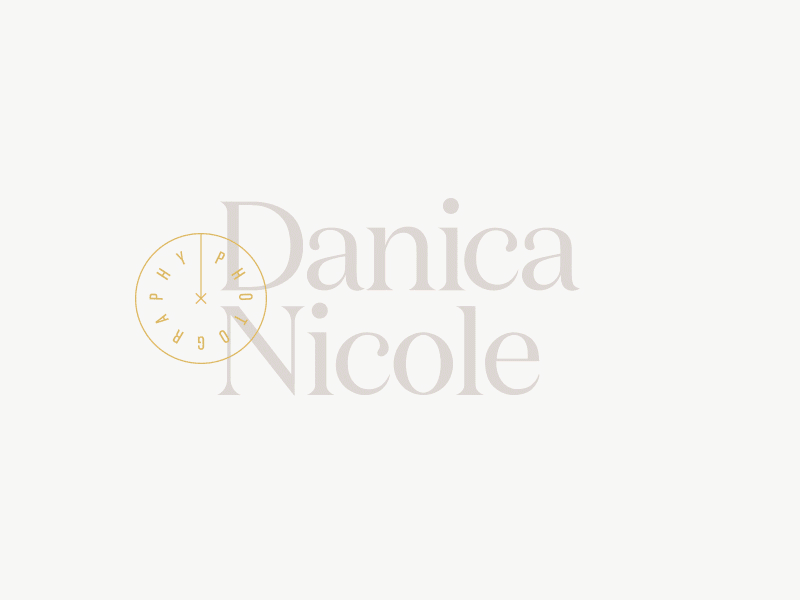Danica Nicole logo logotype photography type typography