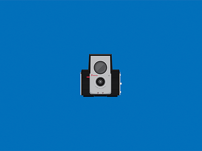 Kodak Brownie bright brownie camera color flat flex illustration kodak line photography simple star