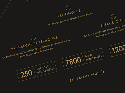 Velvet & Gold - WIP dark navigation responsive stats ui website