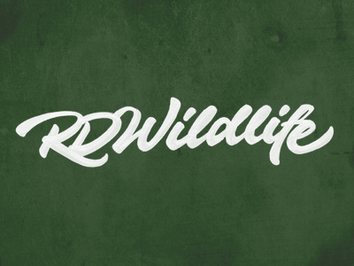 RD Wildlife 05 brush brushpen calligraphy custom fabercastell joluvian lettering tombow type wild