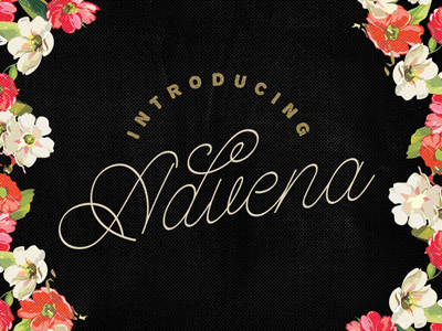 Advena brush caligraphy elegance elegant hand writing handwritten lettering monoline pen speed spontanious typeface
