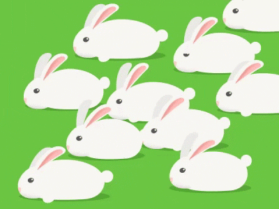 rabbits animal animation eating nice