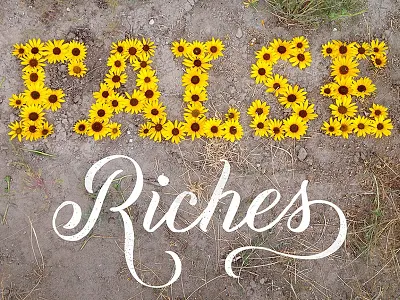 Sunflowers Mean False Riches flowers hand lettering lettering