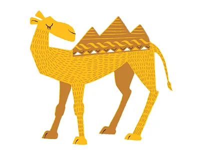 pyramid camel animal camel illustration travel