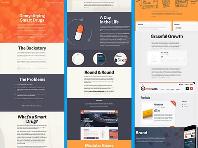 Primelabs Casestudy portfolio responsive web