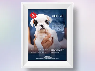 Shelter Adoption Poster adoption dog pet poster shelter