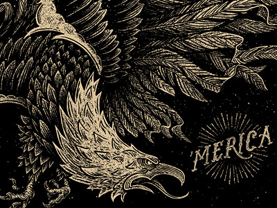 'Merica america custom eagle hand drawn illustration lettering typography vintage