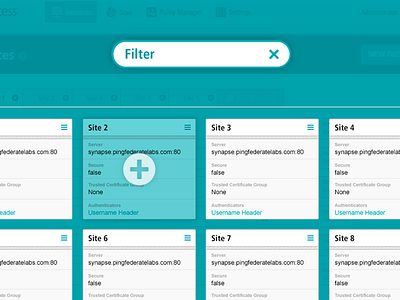 Access Manager - Web Application ui ux web application