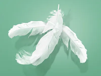 feathers plane feather plane