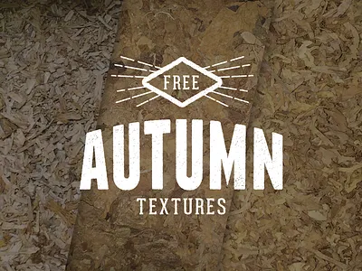 Autumn Textures autumn fall grass leaf natural organic texture