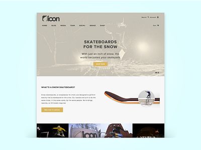 Icon Snowskates Redesign proxima nova skateboard snow ui user interface