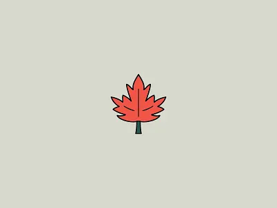 Maple Leaf icon illustration