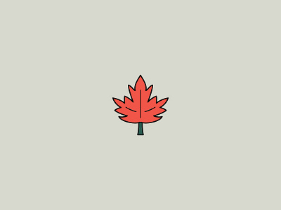 Maple Leaf icon illustration