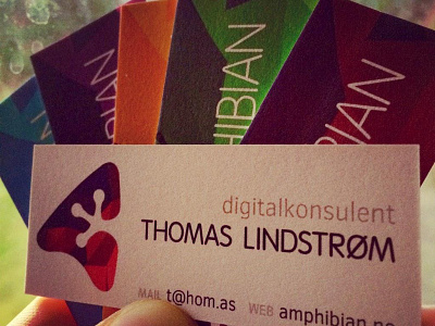 Amphibian Business Cards amphibian business cards identity logo print