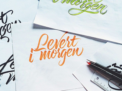 Logo (Work in Progress) branding brushpen fonts logo logotype typography