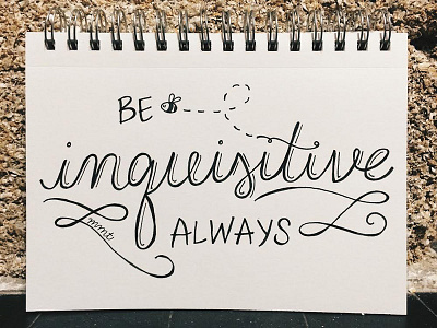 Inquisitive bee daily doodle hand lettering lettering micron