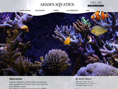 Adams Aquatics site design design web