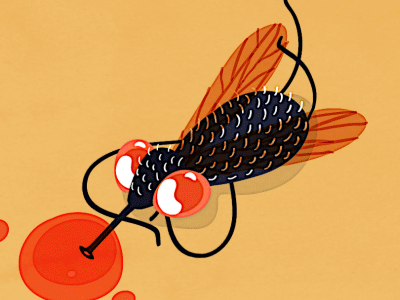 Drop of that rosé after effects animation drake fly toronto water color