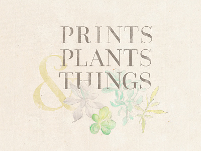 Prints, Plants & Things color sketch type
