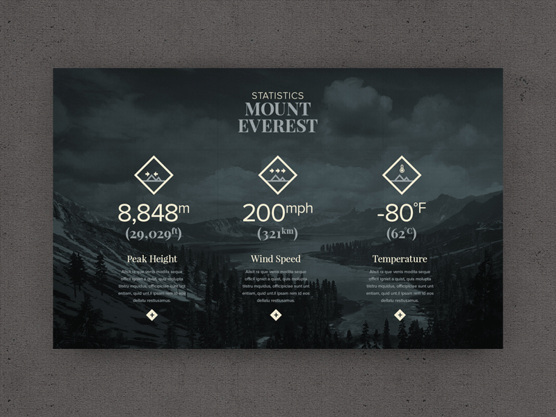 EVER WONDER™ // Mount Everest app branding forest gif icon icon set logo mobile mountains ocean vector web