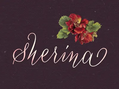 Sherina classic copperplate cursive greeting card hand made script vintage wedding