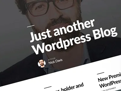 Milton Wordpress Theme clean flat responsive theme wordpress