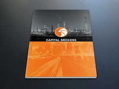 Catalogue Cover brand catalogue cover eagle folder logo orange print