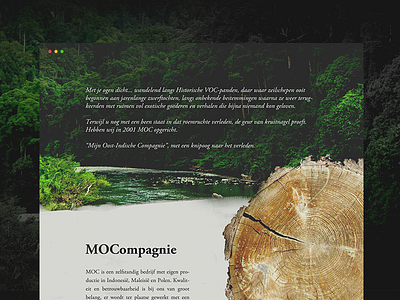 MOCompagnie Landing homepage landing webdesign