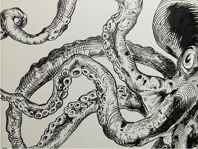 Octopus crosshatching crowquill drawing illustration ink octopus speedball tentacles victorian vintage