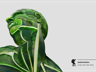 Anatomy of fruits and vegetables anatomy dan cretu design food food art food design food illustration neck watermelon