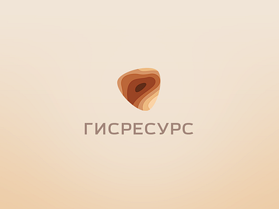 ГИСРЕСУРС / GISRESURS branding code coding data development geo gis identity logo map tag