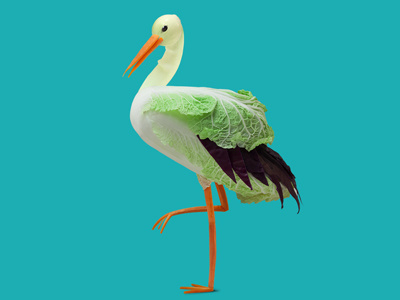 Stork dan cretu food food design food illustration stork vegetables