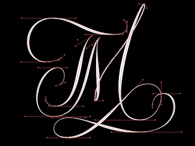 TM Initials calligraphy illustrator lettering type typography vectors