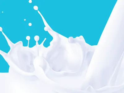 Milk beverage design digital illustration gradient mesh illustrator milk silk almond milk