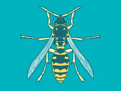 Buzz buzz illustration tritone wasp