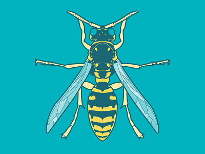 Buzz buzz illustration tritone wasp