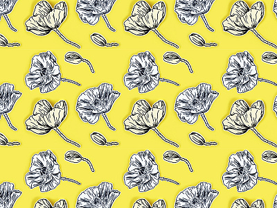 Papaver photo pattern drawing flowers papaver pattern personal design photo photo pattern yellow