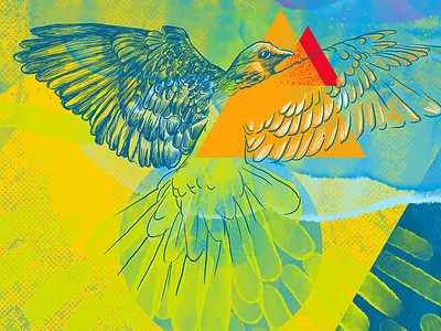 Esoteric Dove bird bnbcintiq dove esoteric illo illustration peace