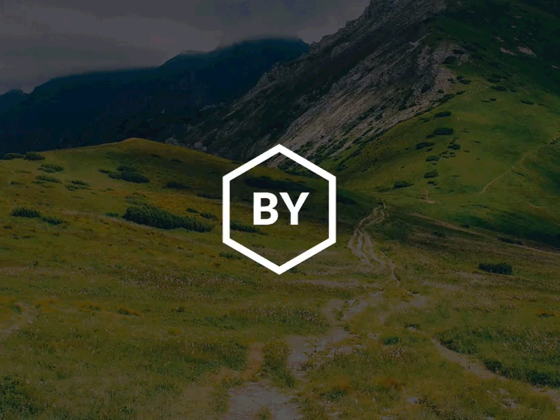 Website splash page gif honeycomb splash page