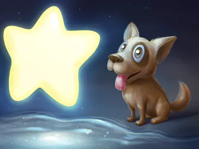 Make a wish dog funny happy night puppy sea star wish